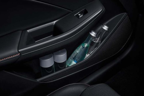 MG 3 Drivers Side In Side Door Controls