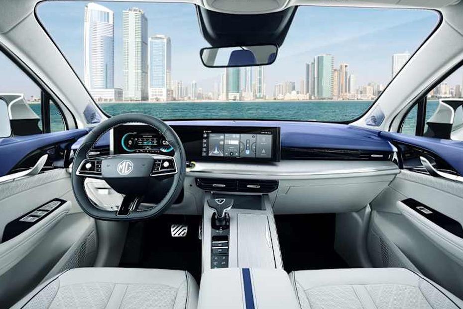 Dashboard View of Whale