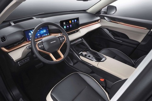 Dashboard View of Jolion Pro