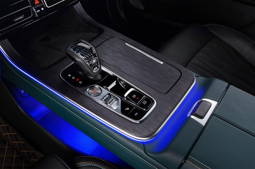 GAC GS8 Gear Shifter