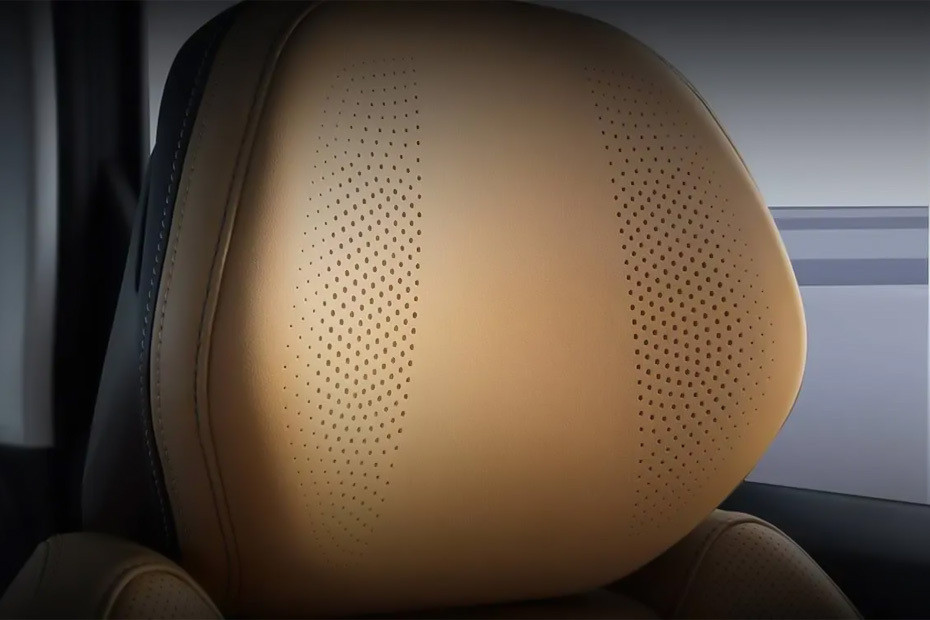 Starray Front Seat Headrest