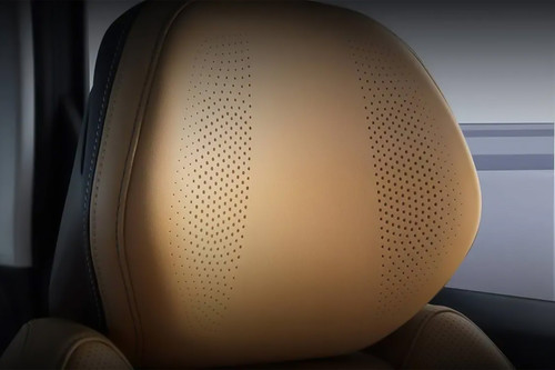 Starray Front Seat Headrest