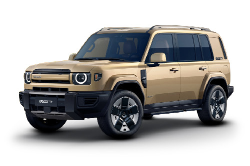Desert Bronze
