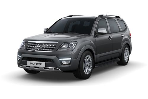 Platinium Graphite