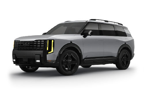 Wolf Gray