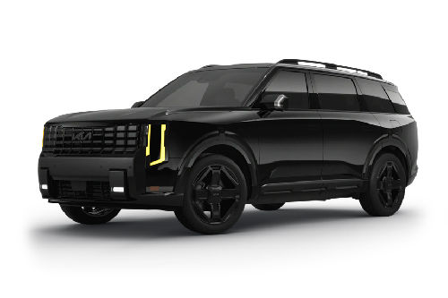 Ebony Black