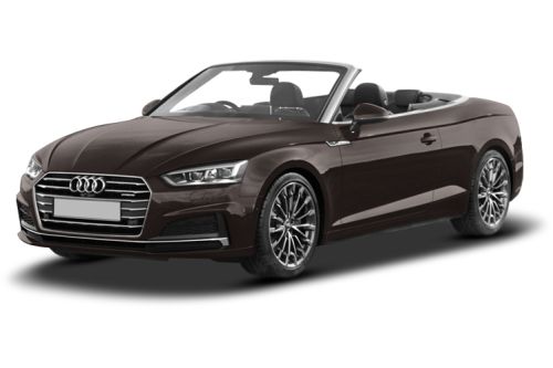 Argus Brown Metallic