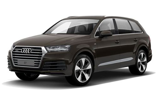 Argus Brown Metallic
