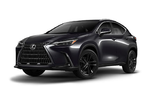 Graphite Black