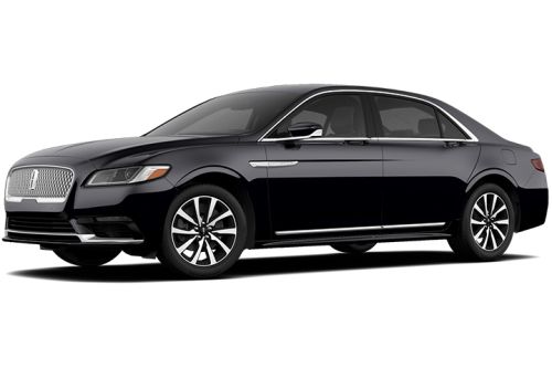 Black Velvet Metallic