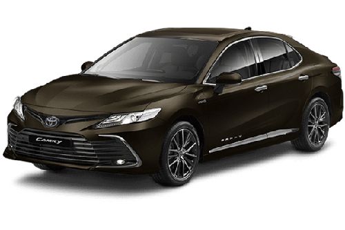 Graphite Metallic