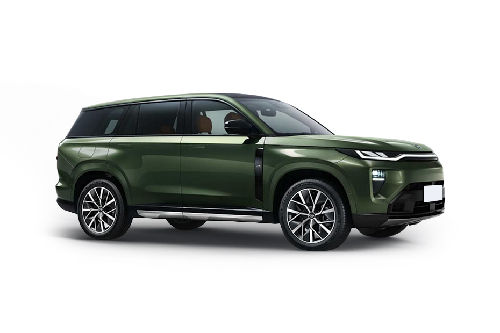 Jungle Green