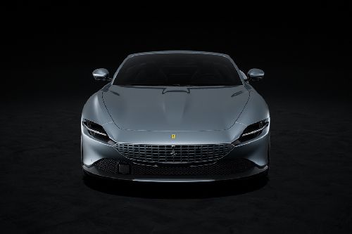 Full Front View of Roma Spider