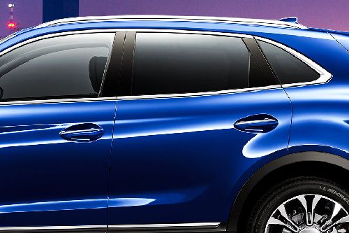 HS5 (2022-2024) Door handle