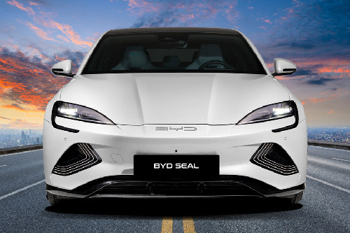 Full Front View of Seal