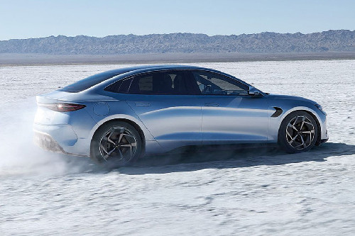 Seal Rear Medium Side View