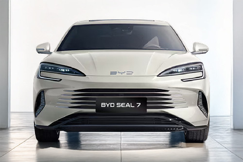 Full Front View of Seal 7