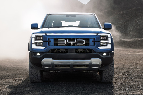 Full Front View of Shark 6