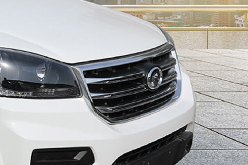 Wingle 5 Grille View