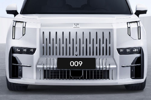009 Grille View
