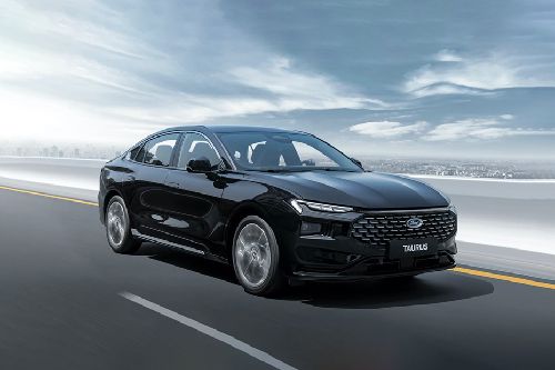 Taurus Front angle low view