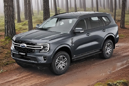 Everest Front angle low view