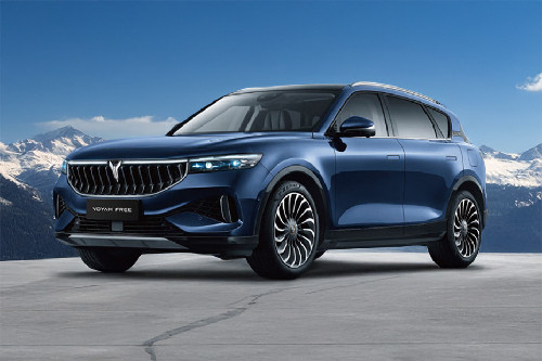 Free Front angle low view