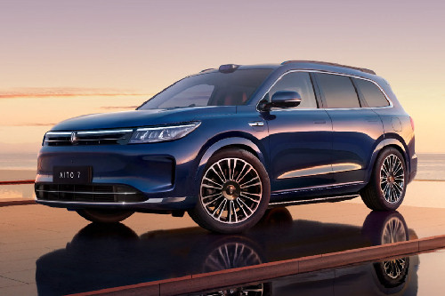 7 Front deep low Angle View