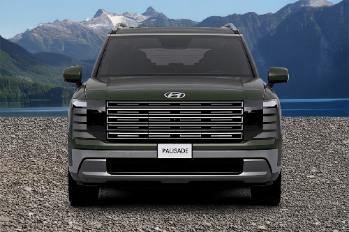 Full Front View of Palisade