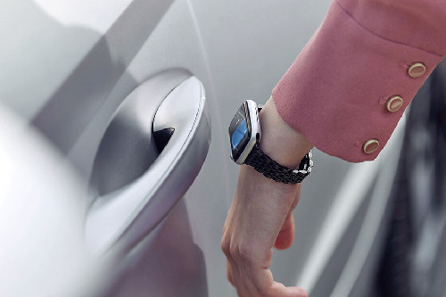 Sonata Door handle