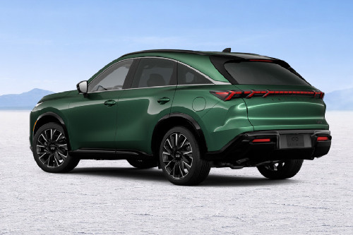 Rear Cross Side View of Infiniti QX65