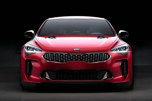 Full Front View of Stinger