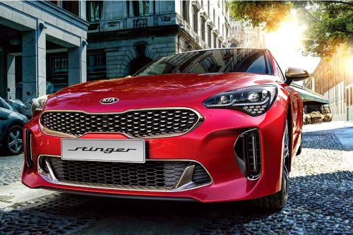 Stinger Tilted Front View