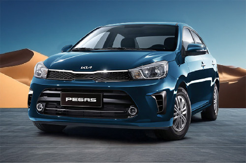 Pegas Front angle low view