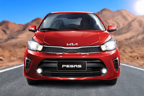 Full Front View of Pegas