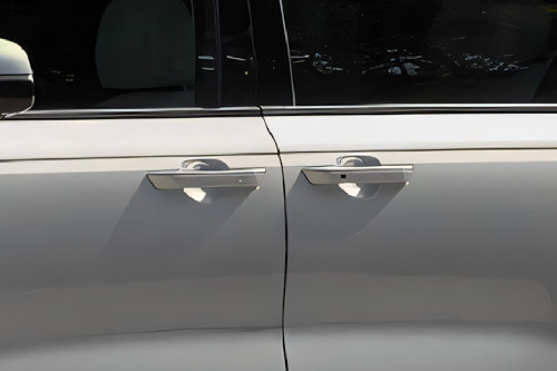 Carnival Door handle