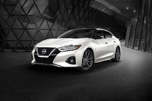 Maxima Front angle low view