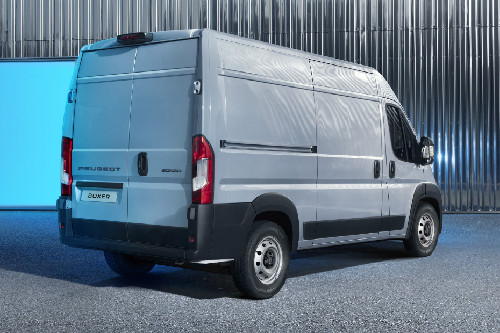 Boxer Rear angle view