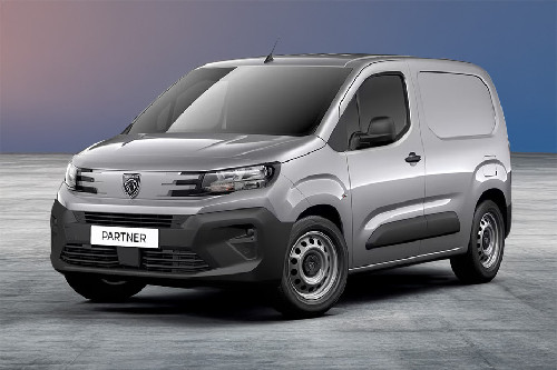 Partner Front angle low view