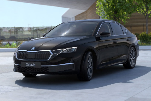 Octavia Front angle low view