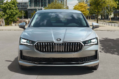 Full Front View of Superb