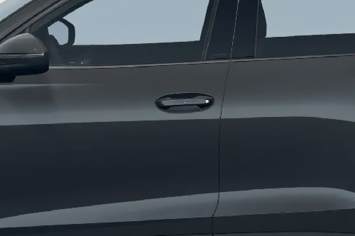 Tiguan Door handle
