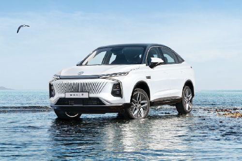 Whale Front angle low view