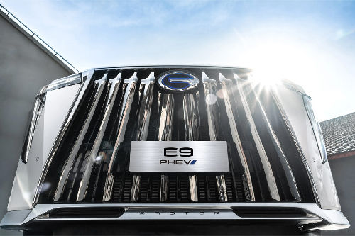 E9 Grille View