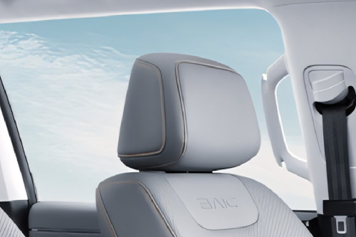 BJ40 Pro Front Seat Headrest
