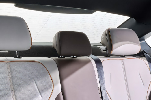 Qin Plus Rear Seat Head rest