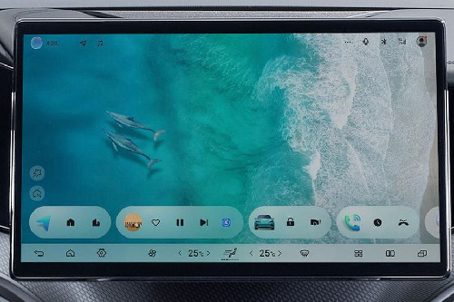 Stereo View of Seal 7