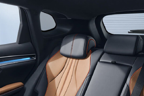 Sealion 6 Rear Seat Head rest