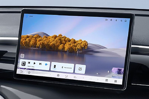 Stereo View of Sealion 5