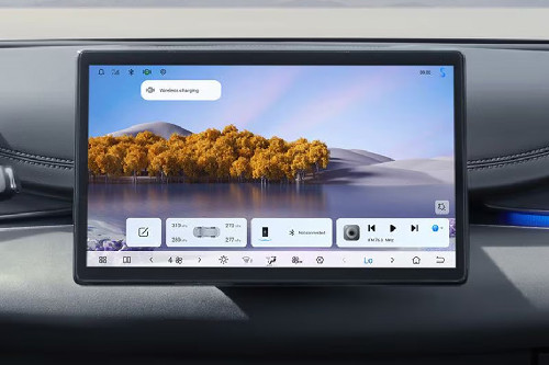 Stereo View of Seal 6